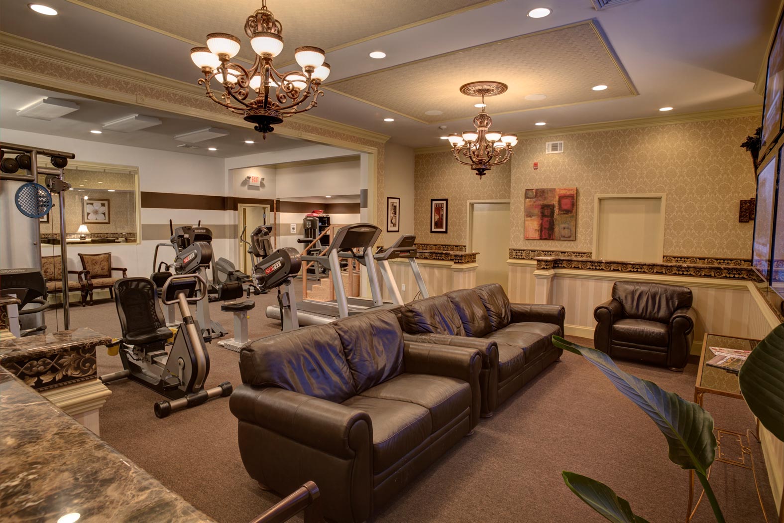 Rehabilitation and exercise therapy session